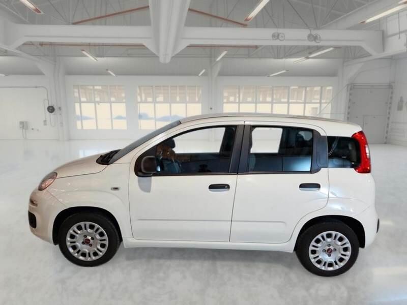 Fiat Panda Fiat Panda 1.2 easy 5 posti