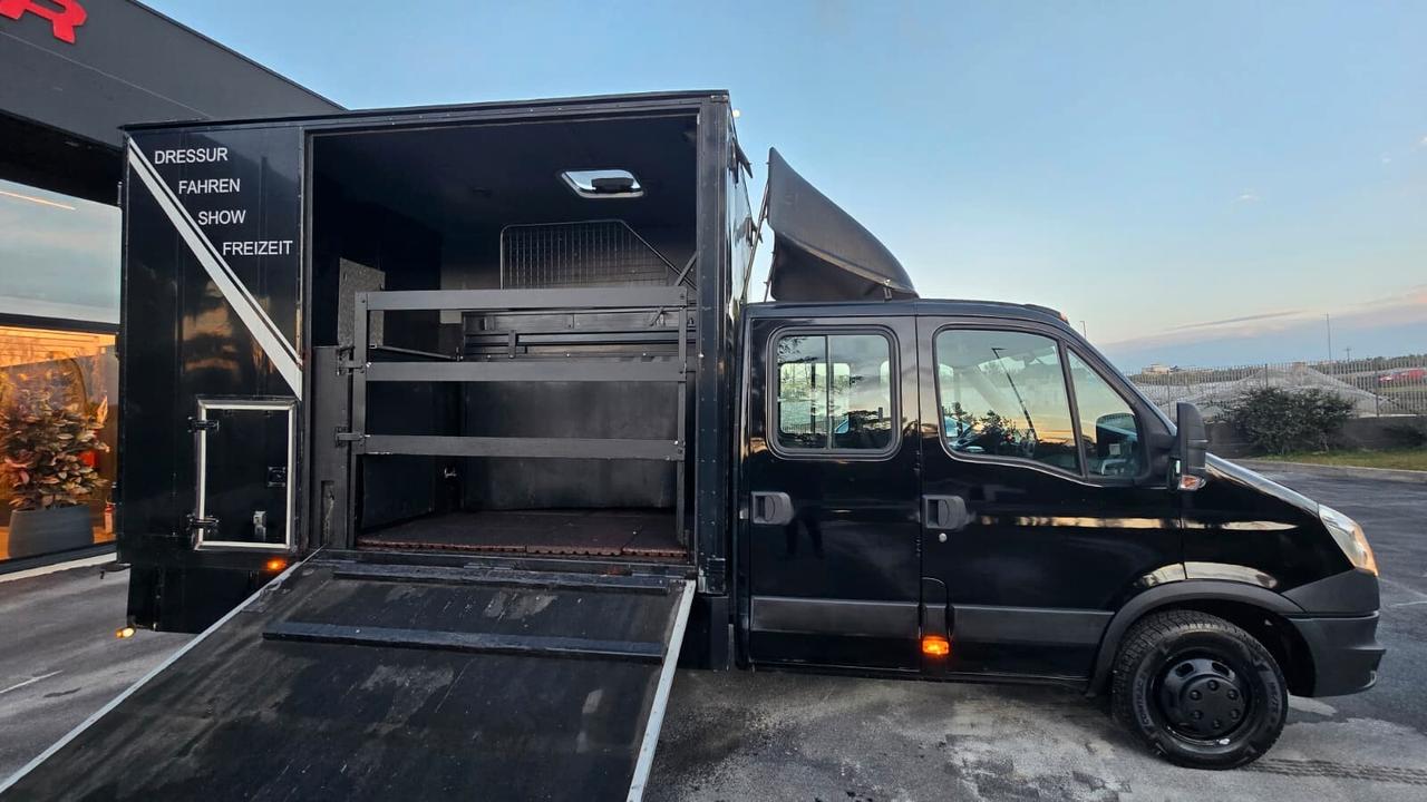 Iveco Daily - Trasporto Cavalli