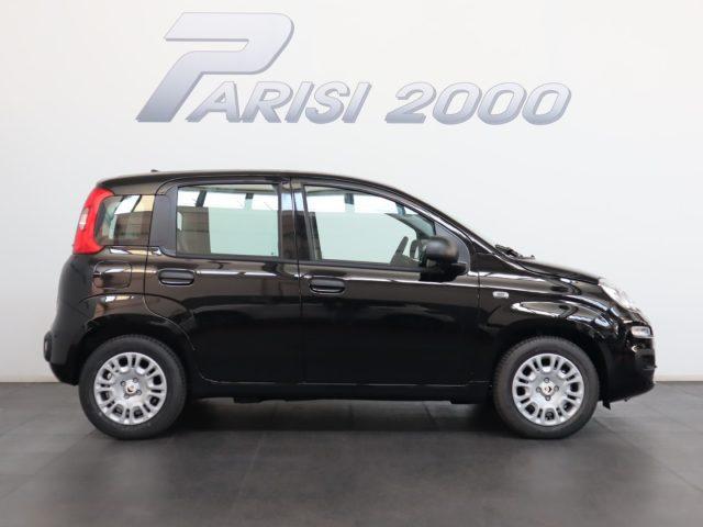 FIAT Panda 1.0 FireFly S&S Hybrid *PROMO PARISI GROUP*