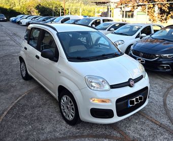 Fiat Panda 1.2 Easy BEN TENUTA GARANZIA 12 MESI