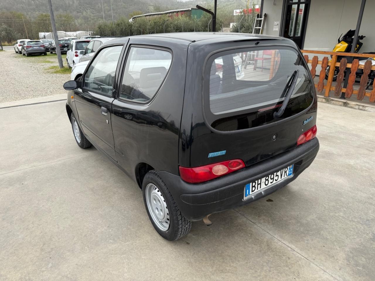 Fiat Seicento 900i cat Young