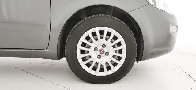 FIAT Punto 1.2 8V 5 porte Street