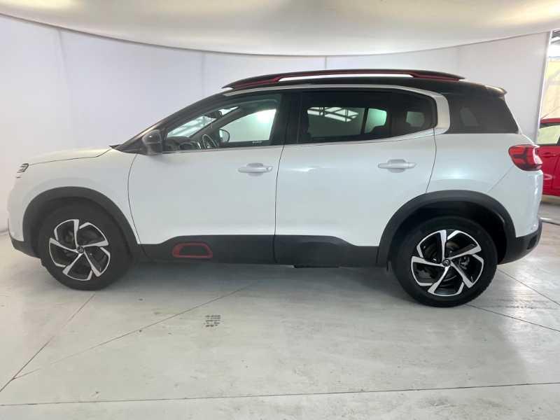 CITROEN C5 Aircross - C5 Aircross 1.5 bluehdi Shine s&s 130cv my20