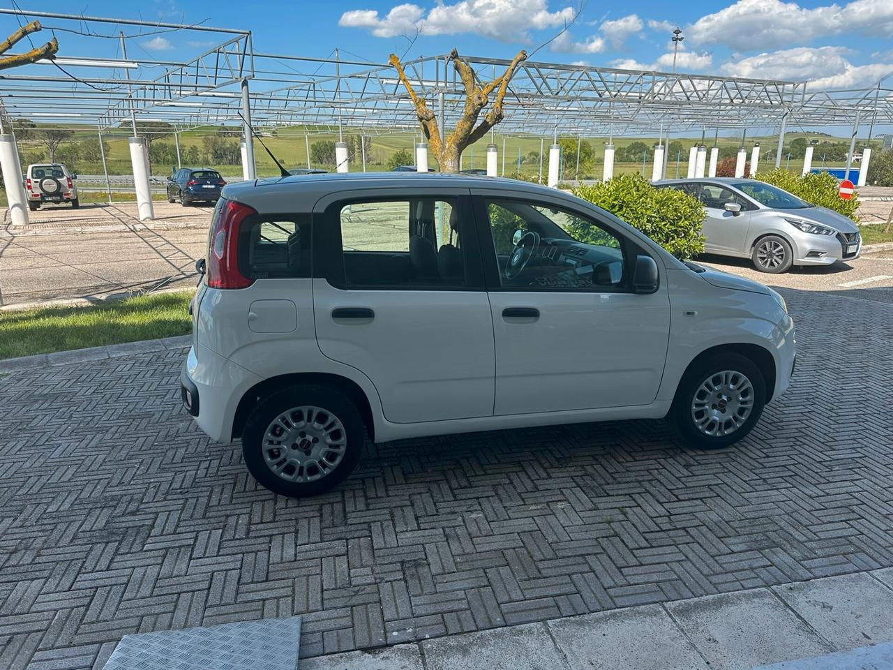 Fiat Panda 1.2 Easy