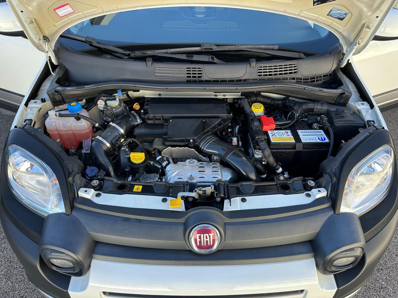Fiat Panda 1.3 mjt 16v Cross 4x4 s&s 95cv my19