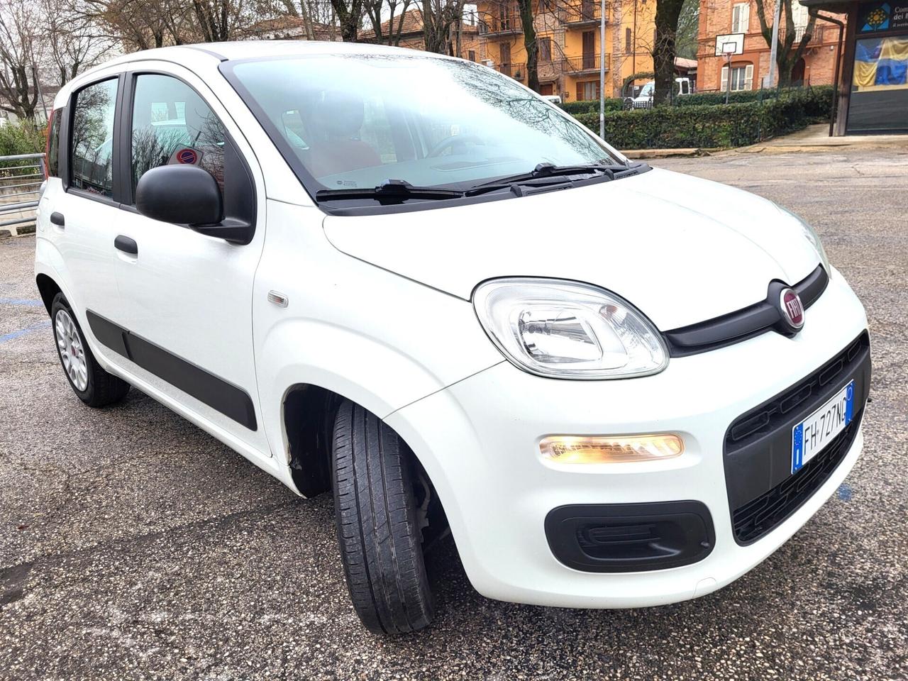 FIAT PANDA 1200-UNICA PROPRIET-FOTO 3 REVISIONI