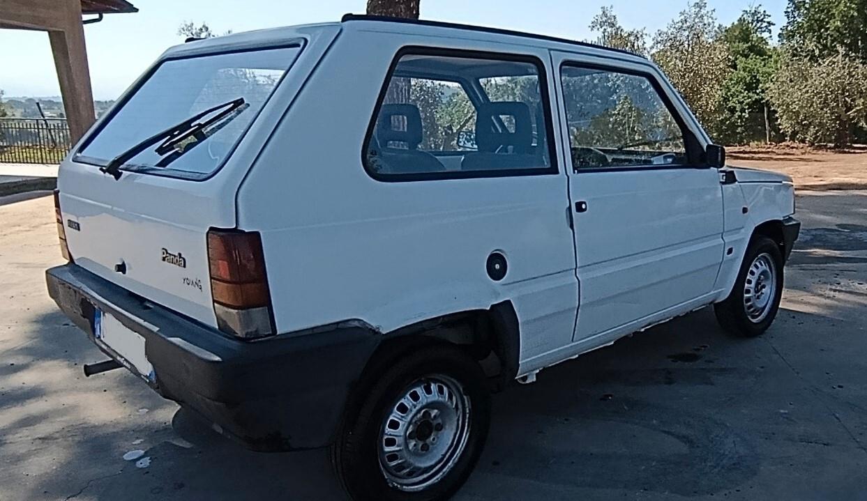 Fiat Panda 900 i.e. cat Young