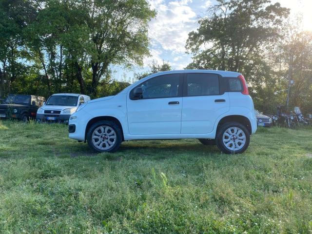 Fiat New Panda Unico-Proprietario * ADAS * Sensori park. + Com. V