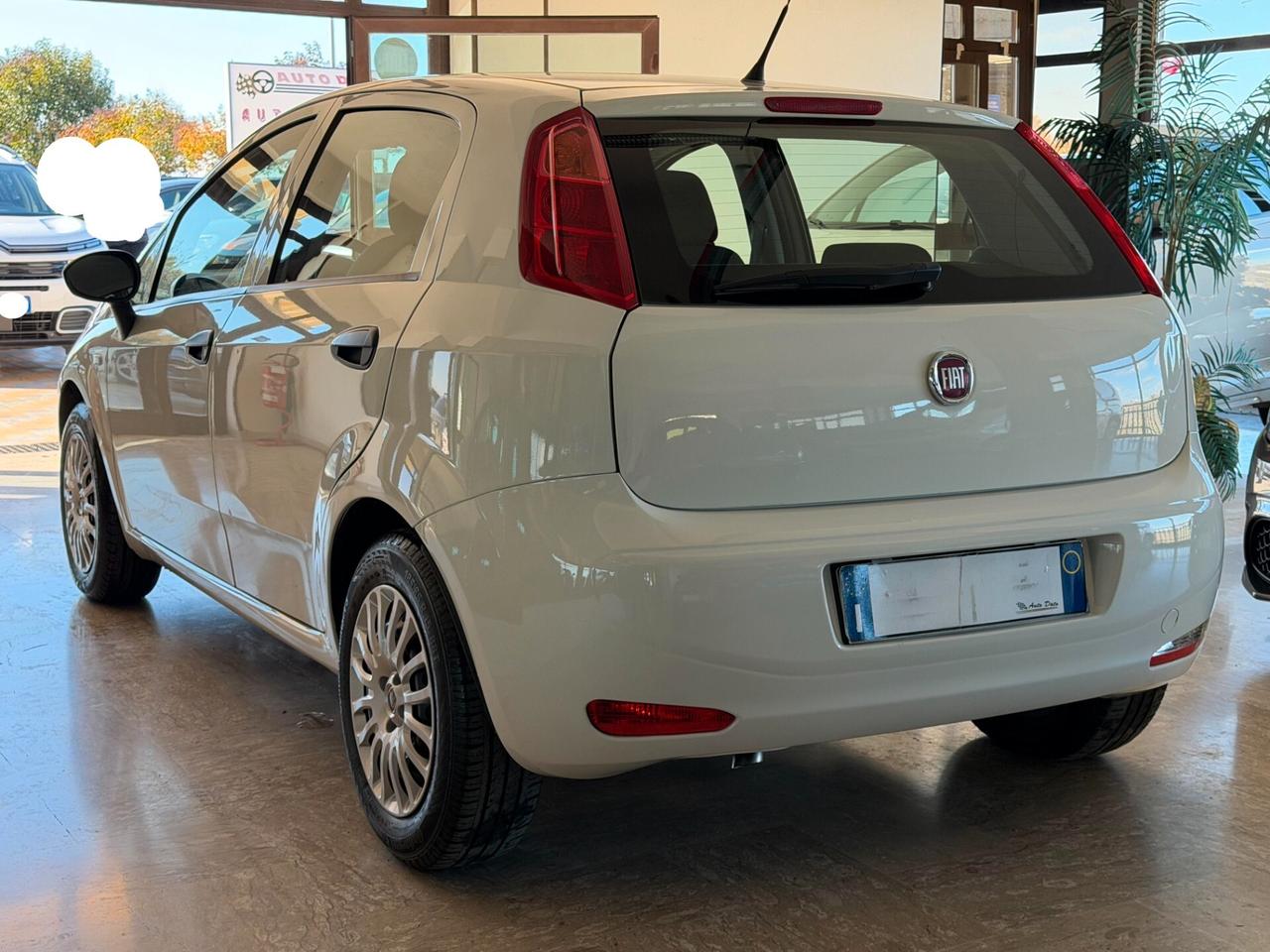 Fiat Punto New 1.3 M.JET 95 cv. 5 porte EASY N1 (IVA Inclusa)