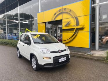 FIAT Panda 1.0 FireFly S&S Hybrid Pandina