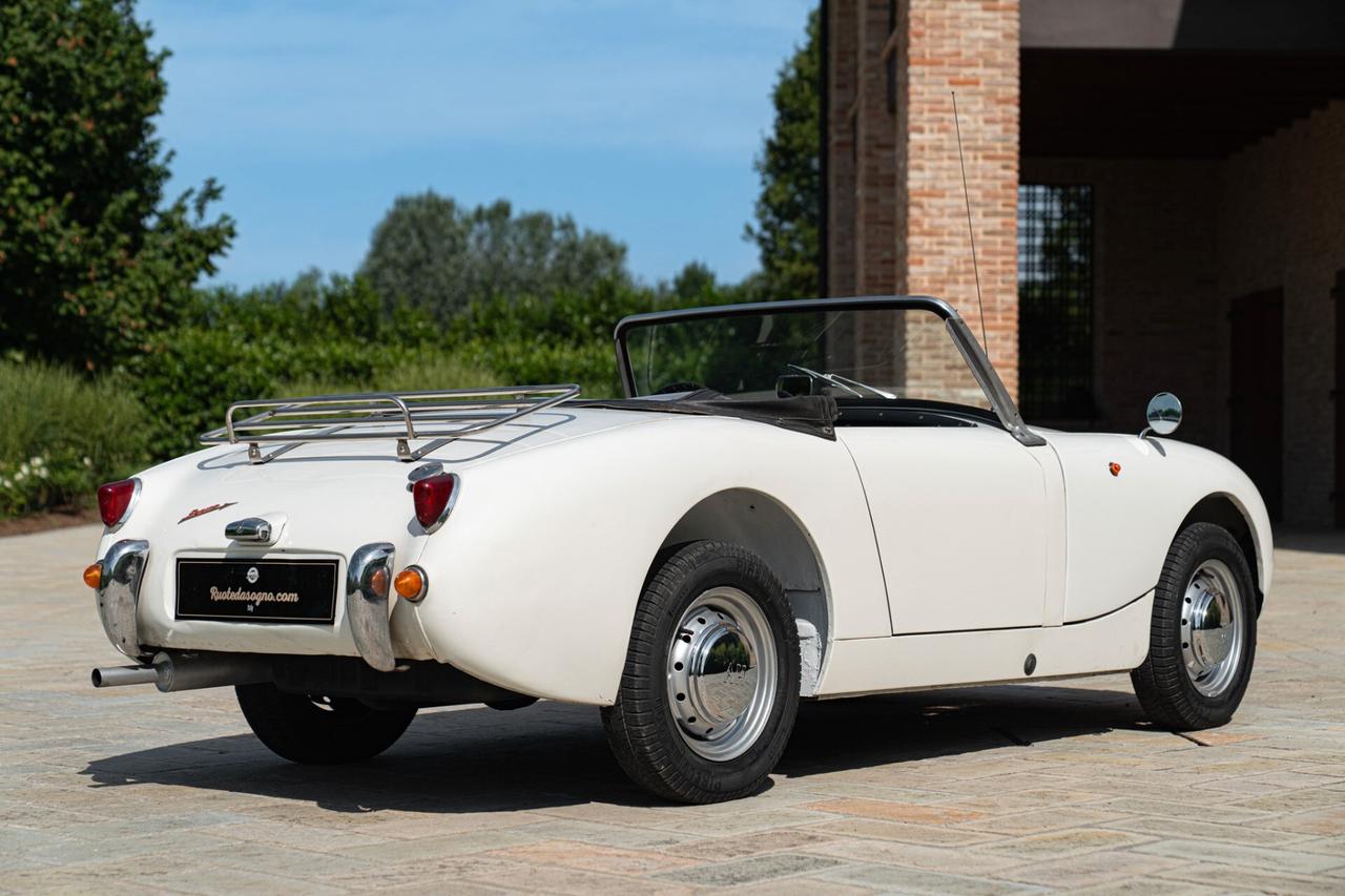 Austin Healey SPRITE - AUS00015