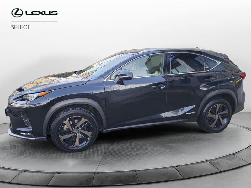 Lexus NX Hybrid 4WD Premium