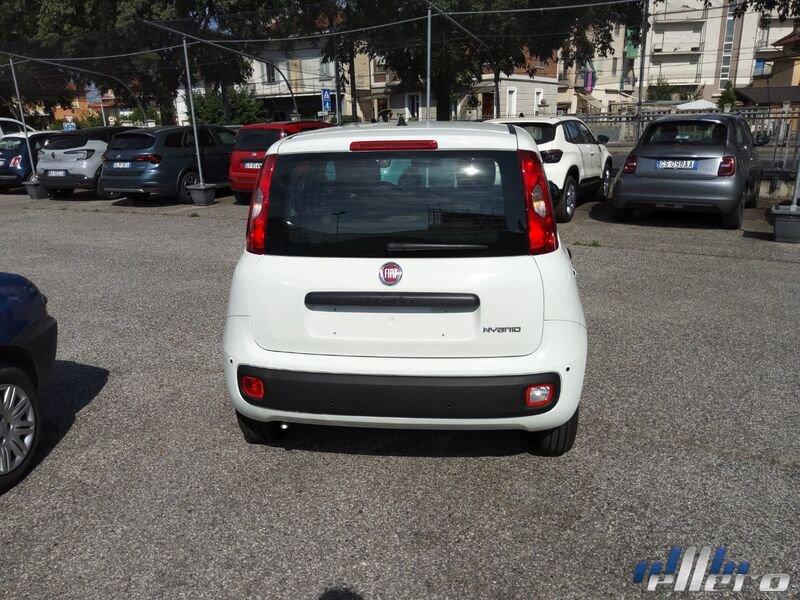 FIAT Panda MY25 1.0 70cv Hybrid