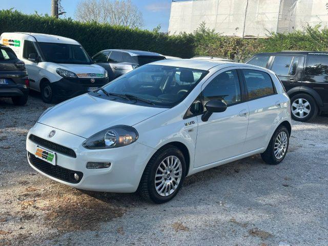 FIAT Punto 1.3 MJT II S&S 85 CV 5 porte ECO Young