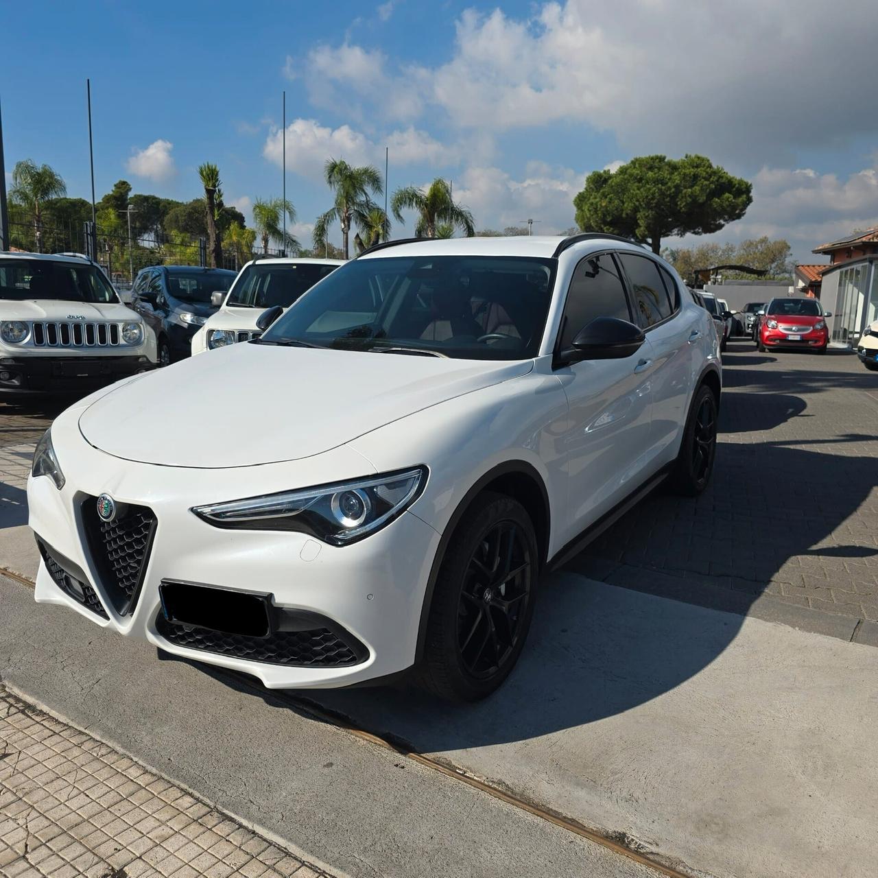 Alfa Romeo Stelvio 2.2 Turbodiesel 210 CV AT8 Q4 Executive