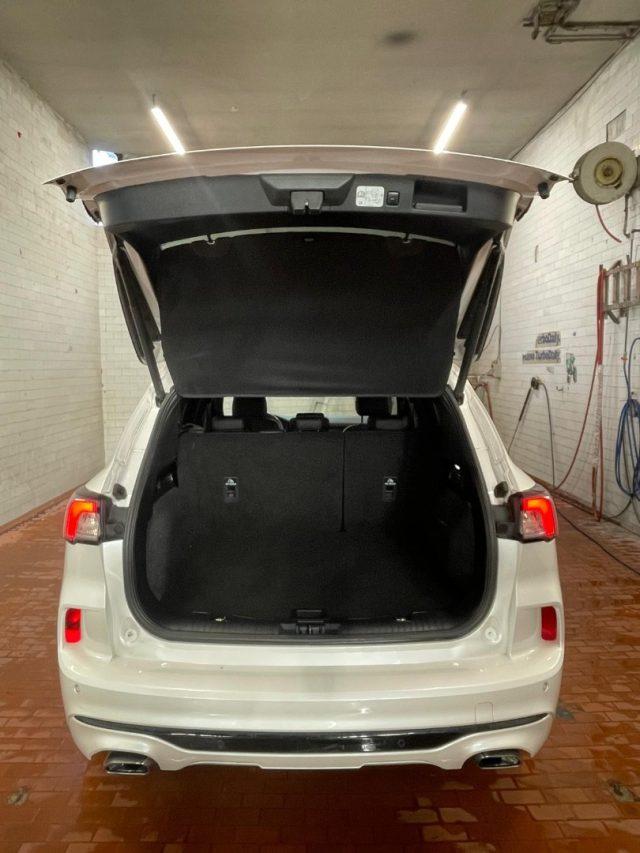 FORD Kuga 2.0 EcoBlue 150CV aut. AWD ST-Line X