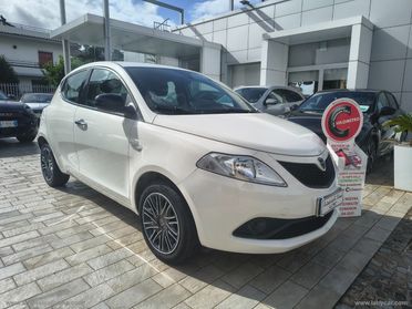 LANCIA Ypsilon 1.2 69 CV 5p. S&S Gold