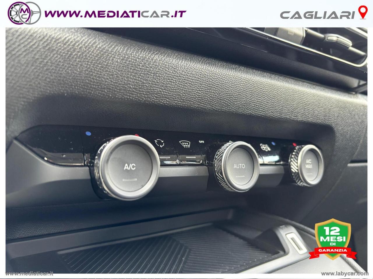 CITROEN C4 X BlueHDI 130 S&S EAT8 Max