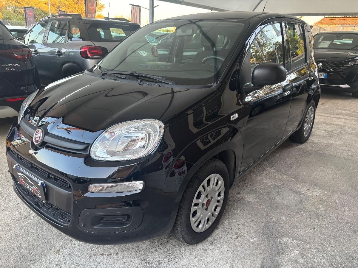 FIAT - Panda - 1.2 Easy