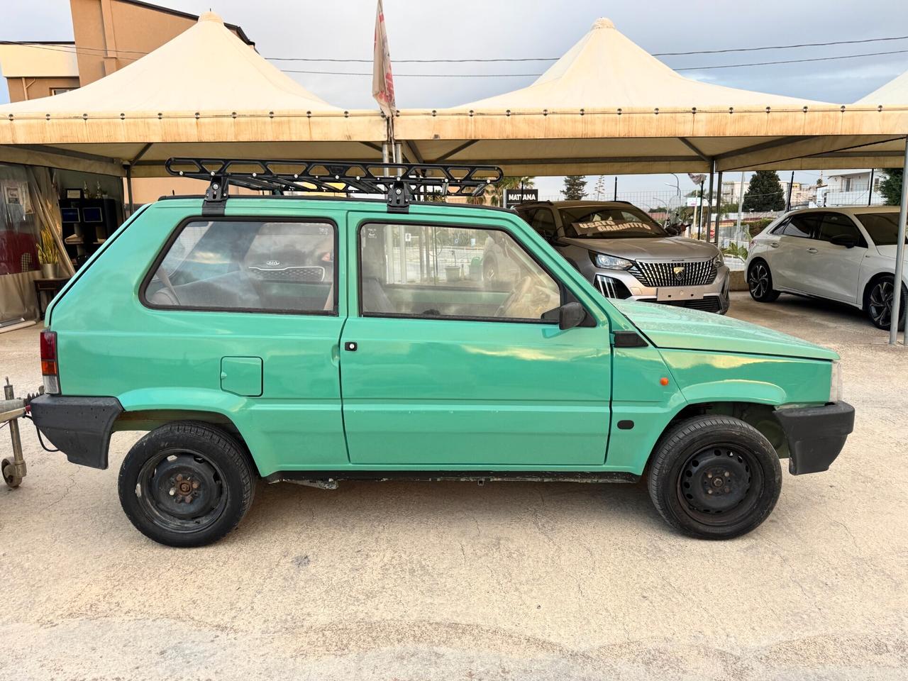 Fiat Panda 1100 i.e. cat Young