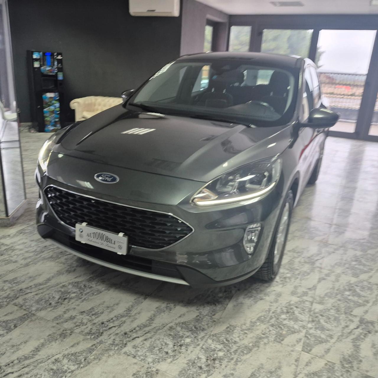 Ford Kuga 1.5 EcoBlue 120 CV aut. 2WD Titanium Business