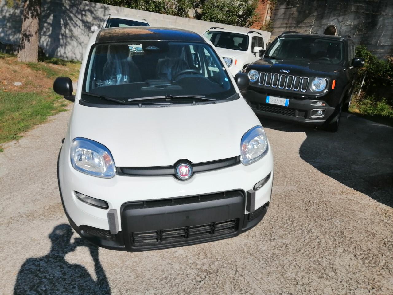 Fiat Panda 1.0 FireFly S&S Hybrid VENDUTA