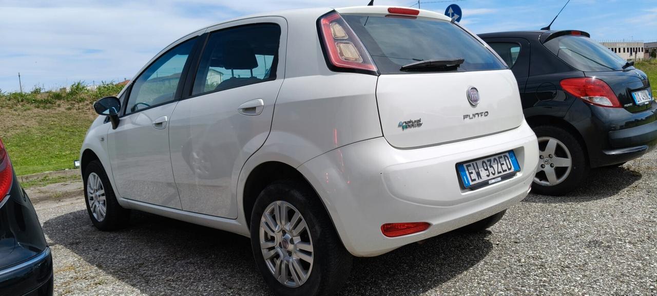 NEOPATENTATI fiat PUNTO metano MOTORE 135000 KM