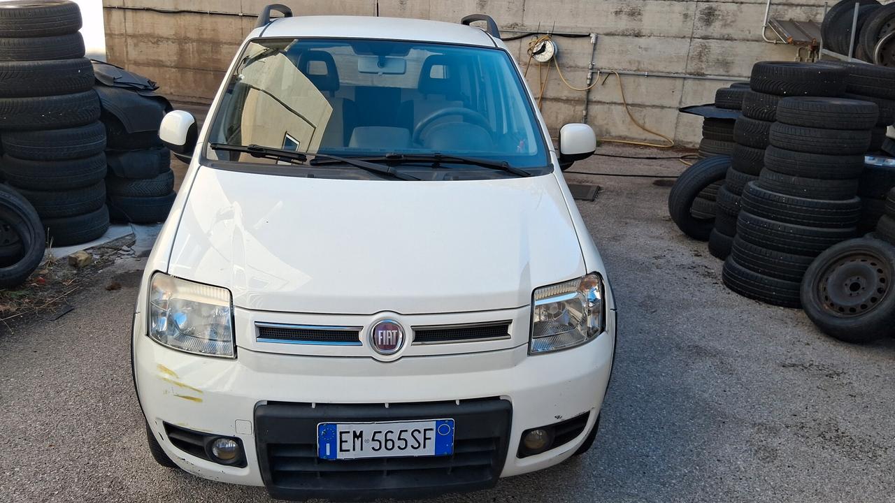 Fiat Panda 1.3 MJT 16V DPF 4x4 Climbing