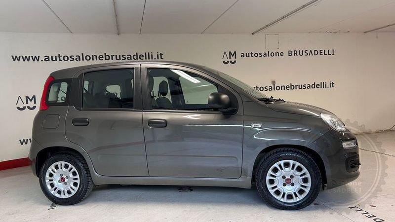 FIAT Panda Panda 1.0 FireFly S&S Hybrid 5 POSTI *PREZZO REALE*