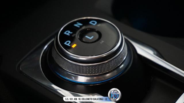 FORD Focus 1.5 EcoBlue 120 CV automatico SW Business