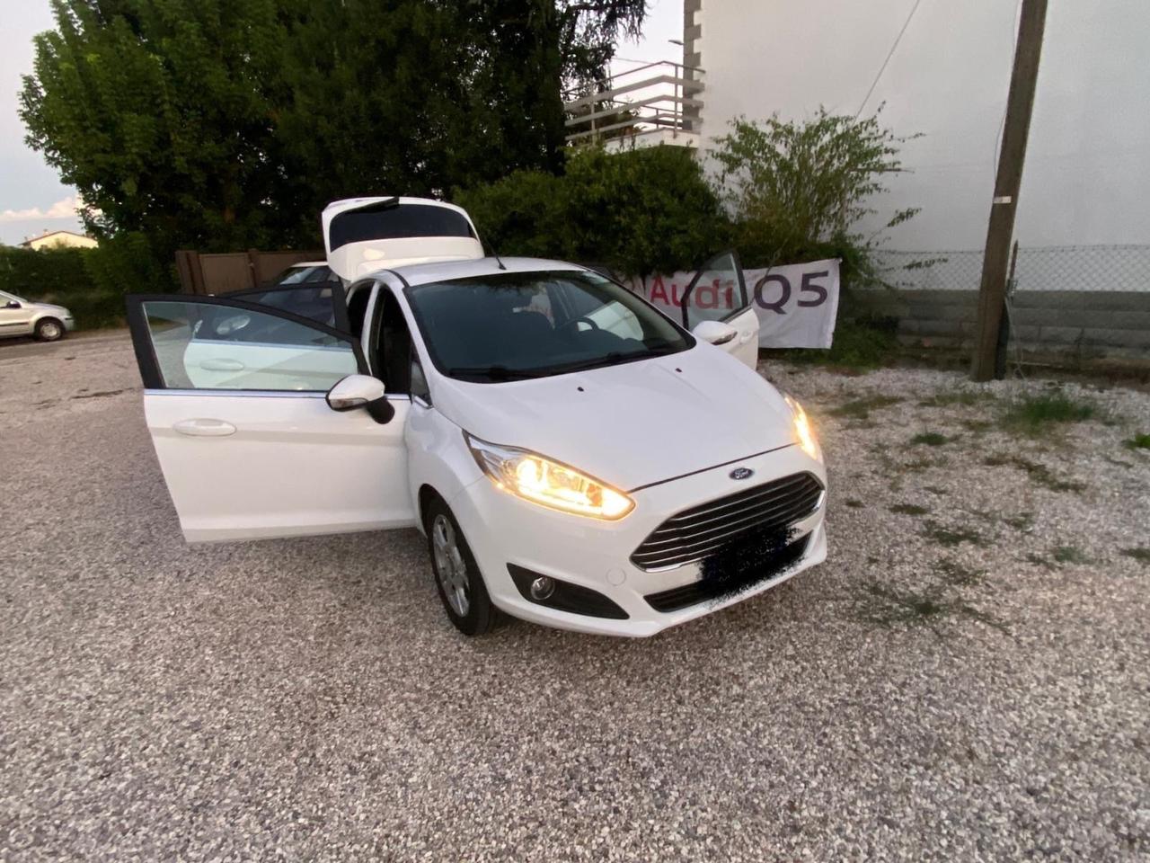 Ford Fiesta 1.4 5 porte Bz.- GPL Black & White Edition