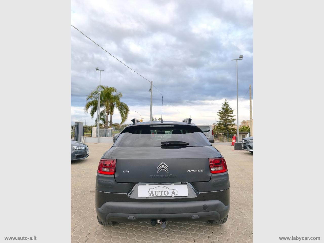 CITROEN C4 Cactus BlueHDi 100 Shine