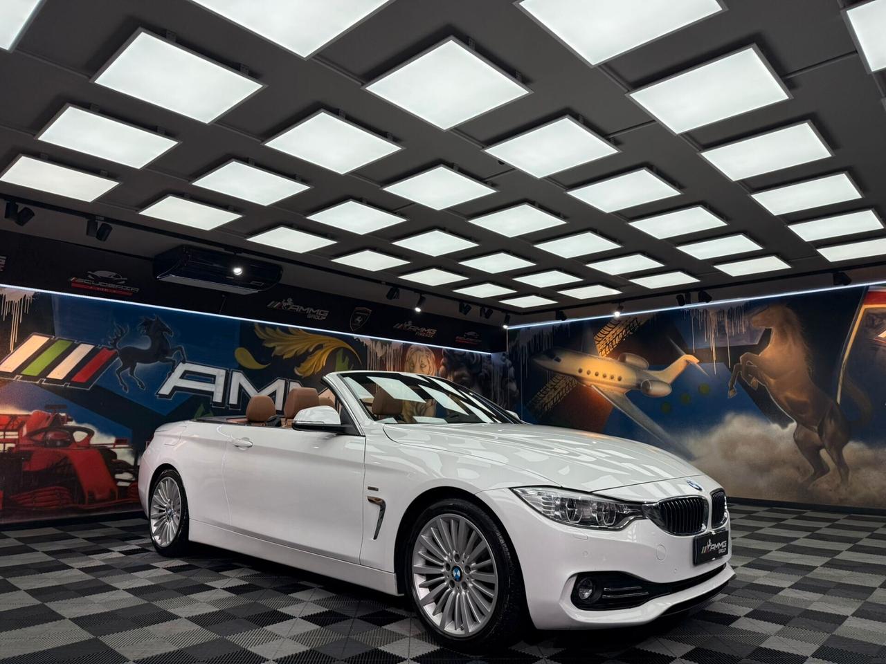 Bmw 420 420d Cabrio (730)