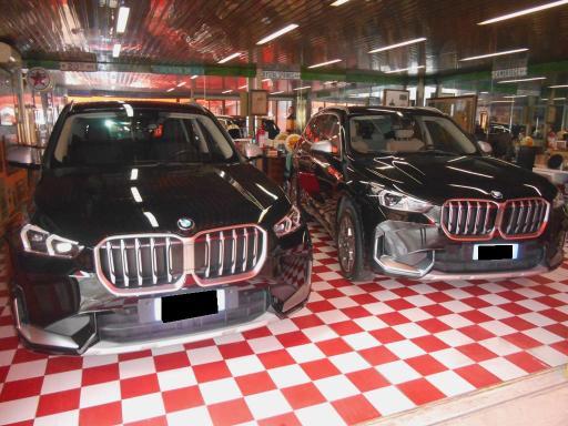 BMW X1 sdrive18d X-Line Premium pack auto con IVA DETRAIBILE