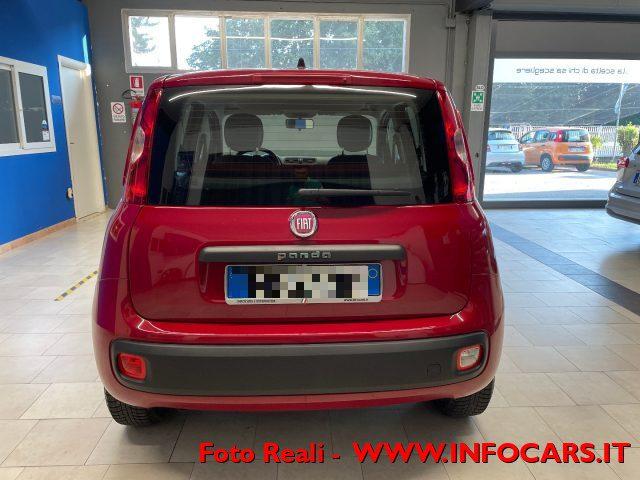 FIAT Panda 1.2 Pop NEOPATENTATI