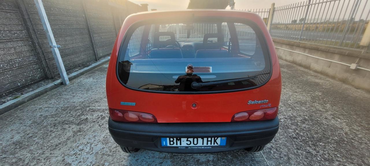Fiat Seicento 900i cat Young