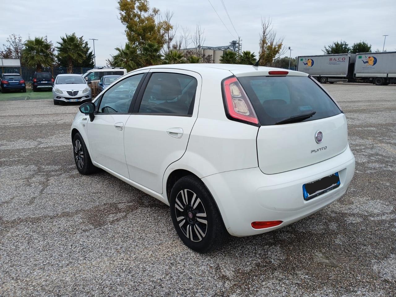 Fiat Punto 1.3 MJT II 75 CV 5 porte Lounge