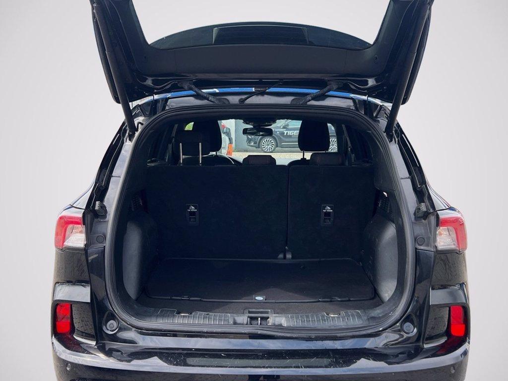 FORD Kuga 1.5 EcoBlue 120 CV 2WD ST-Line del 2022