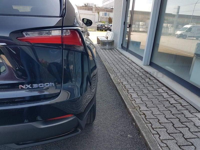Lexus NX NX 300h 2.5 F-Sport 4wd cvt