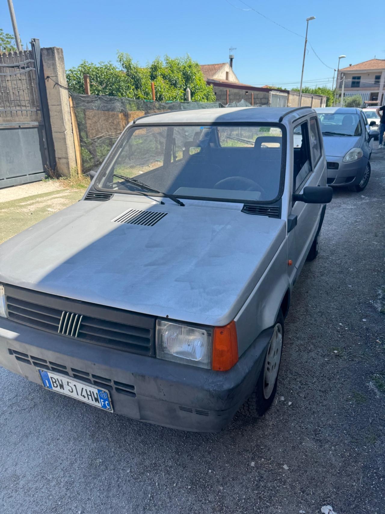 Fiat Panda 1100 i.e. cat Young