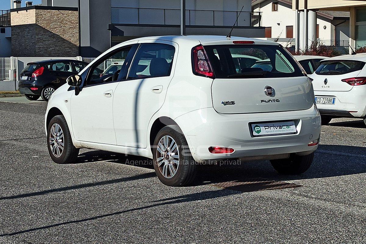 FIAT Punto 1.4 8V 5 porte Natural Power Easy