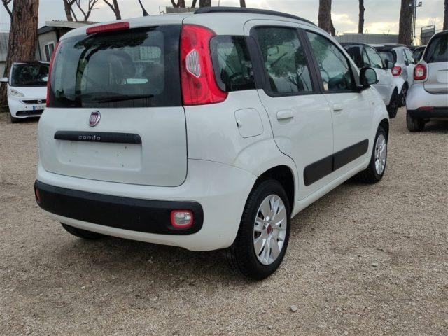 FIAT Panda New 1.2 Lounge CLIMA OK NEOPATENTATI