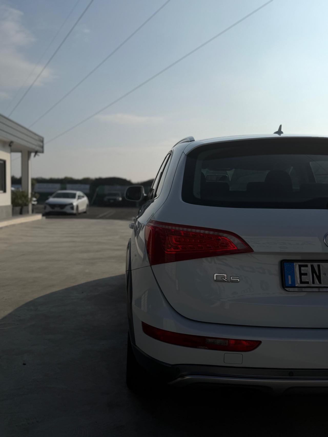 Audi Q5 2.0 TDI 170 CV quattro S tronic Advanced Plus