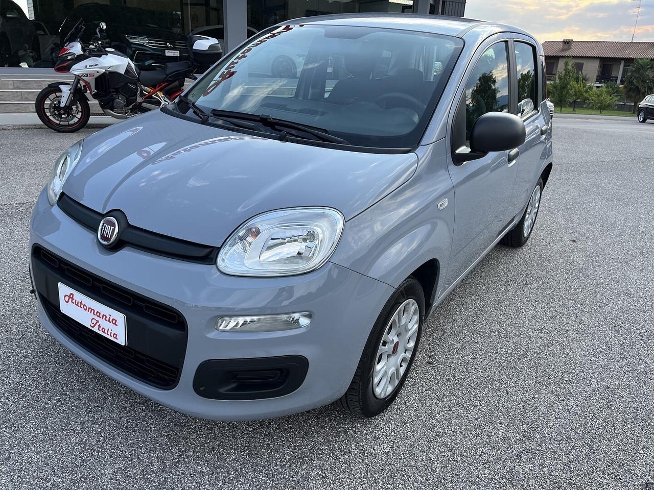 FIAT PANDA 1200 CC 69 CV EASY