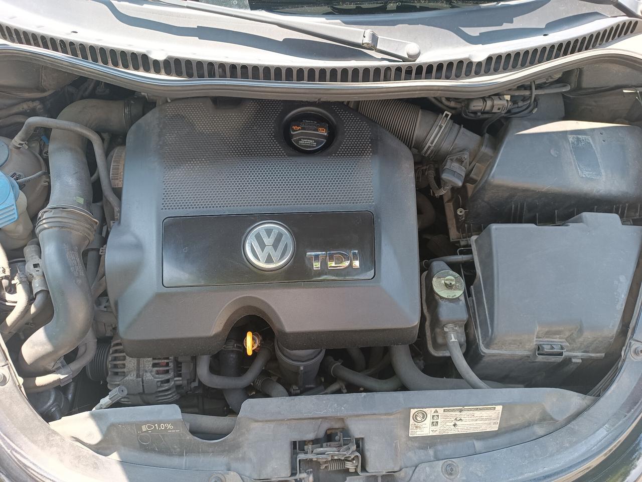 Volkswagen New Beetle 1.9 TDI 105CV