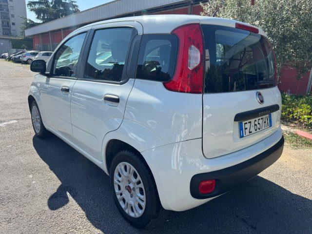 FIAT Panda 1.2 Easy (AUTOCARRO N1 4 POSTI)