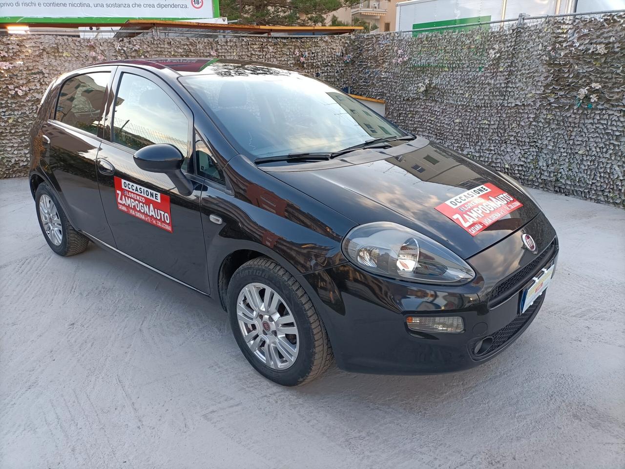 Fiat Punto 1.3 MJT 5Porte STREET X NEOPATENTATO ZAMPOGNAUTO CT