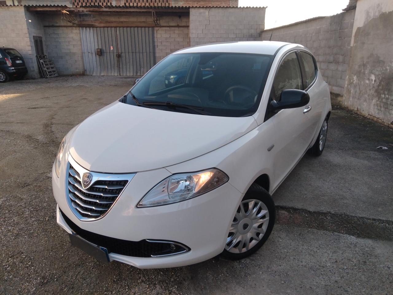 Lancia Ypsilon 1.2 69 CV 5 porte S&S Platinum x neopatentati