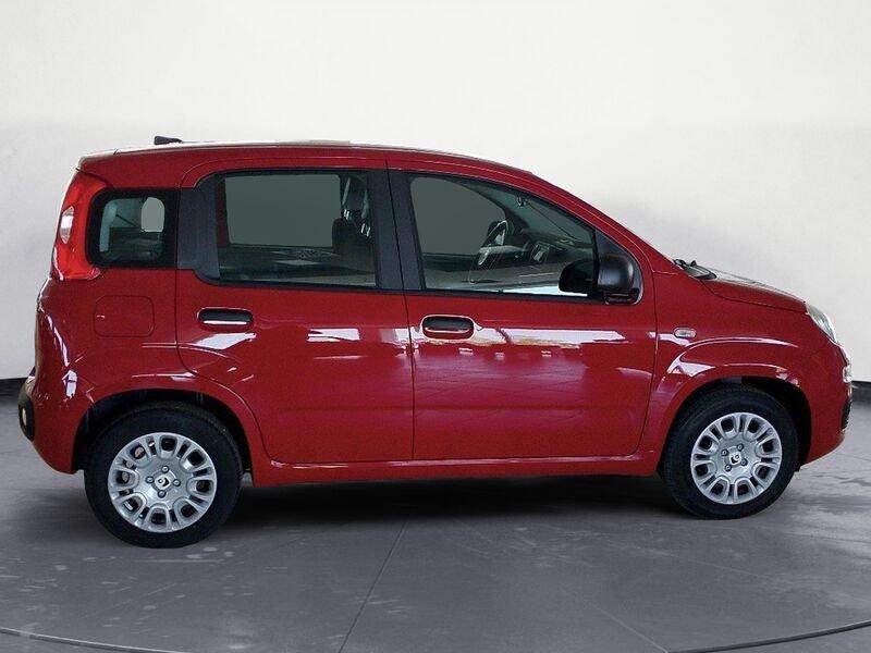 FIAT Panda NEW My25 1.0 70cv Hybrid Panda
