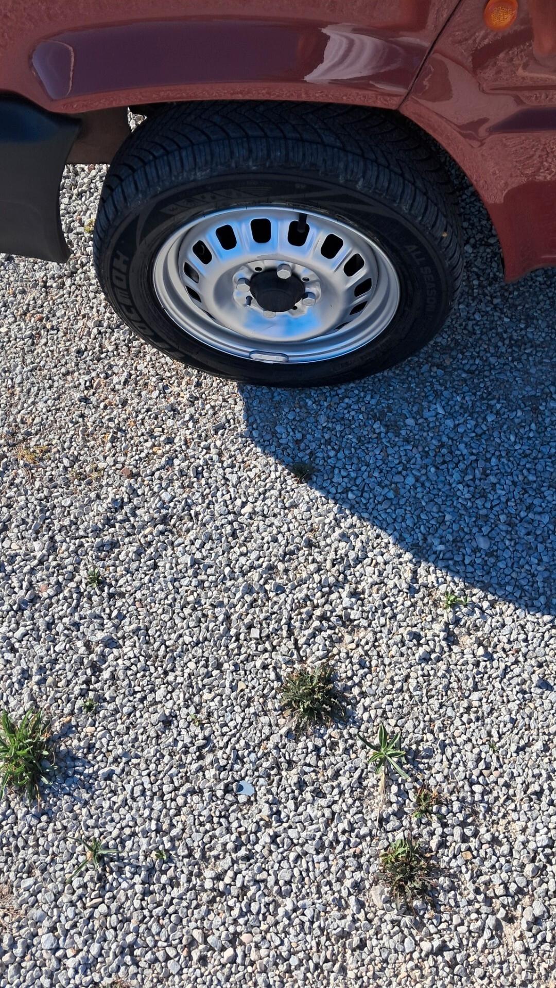 Fiat Panda 900 i.e. cat Young